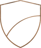 Asset Protection Icon